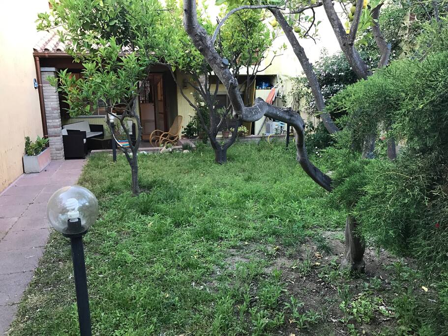 Giardino