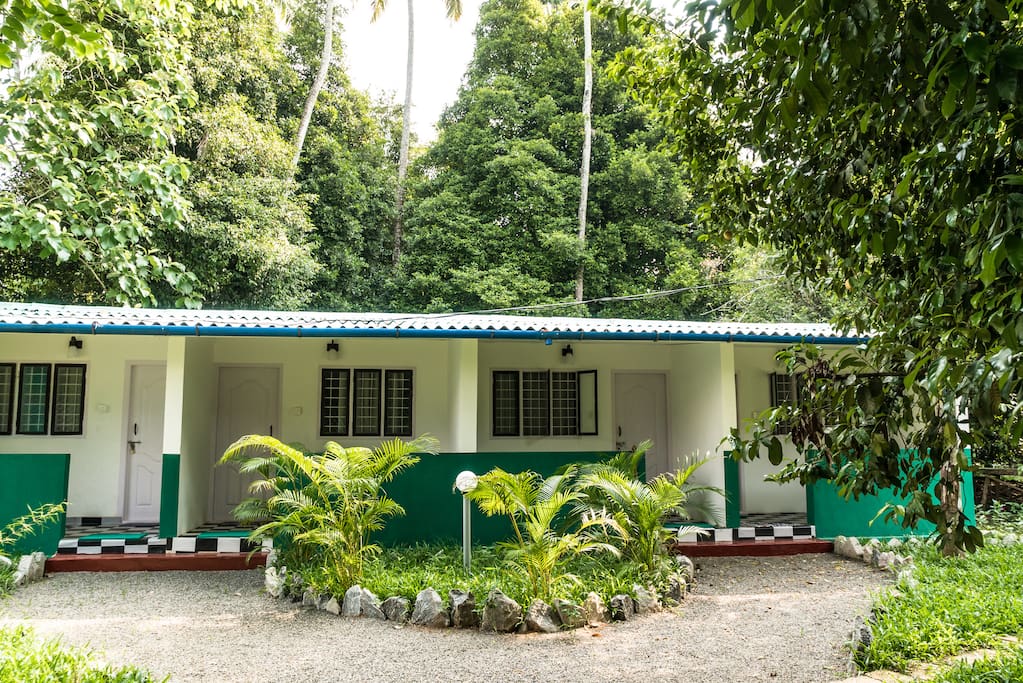A farm stay in Athirapally