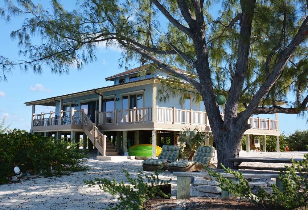There is no finer sound than that of a breeze through a casuarina tree.