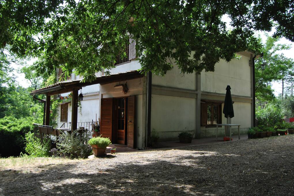 The Villa in the Park