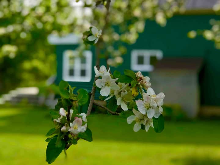 Partridge Island Alquileres vacacionales y alojamientos Parrsboro
