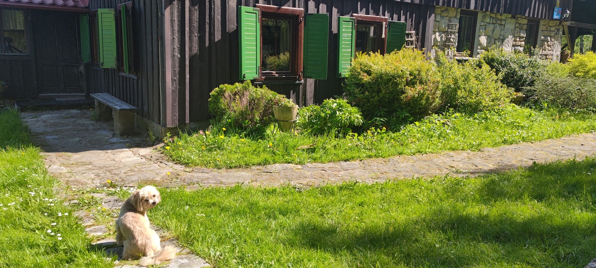 A well-maintained garden features lush green grass and a winding stone pathway leading to a charming building with wooden siding. The structure showcases windows with vibrant green shutters, surrounded by various greenery and rocks, creating a peaceful outdoor scene.