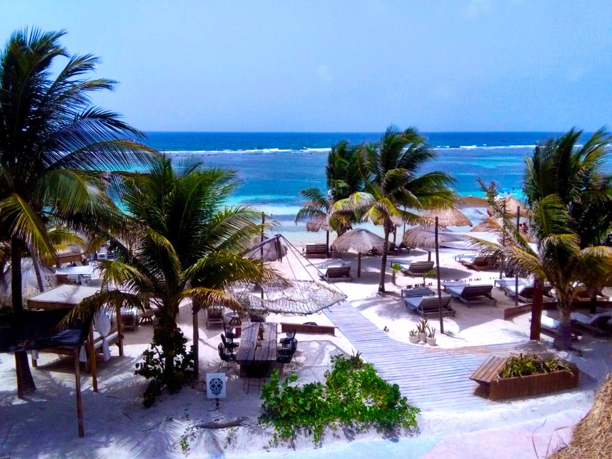 A serene beachfront scene is depicted, featuring palm trees swaying gently in the breeze. Lounge beds and umbrellas are positioned on soft sandy terrain, with a clear view of the turquoise waters and a vibrant shoreline in the background.