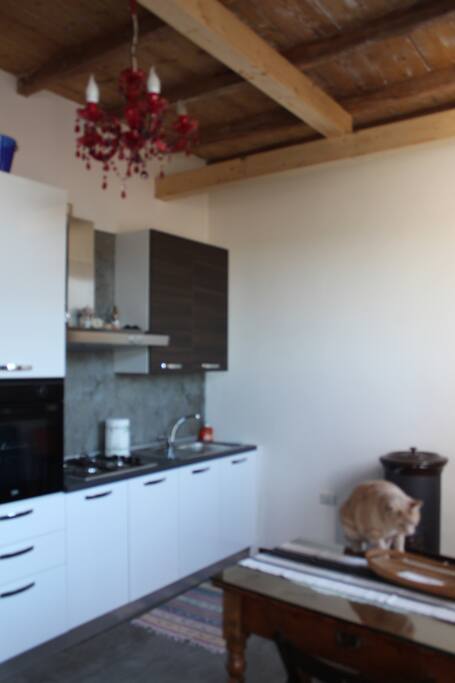 cucina