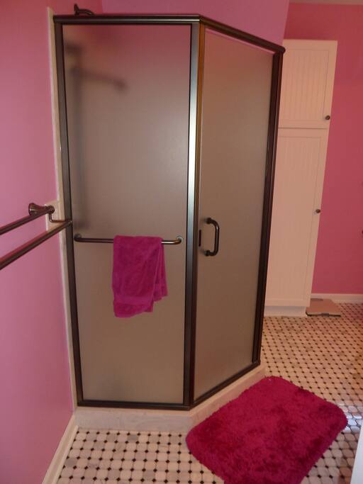 The guest's shower