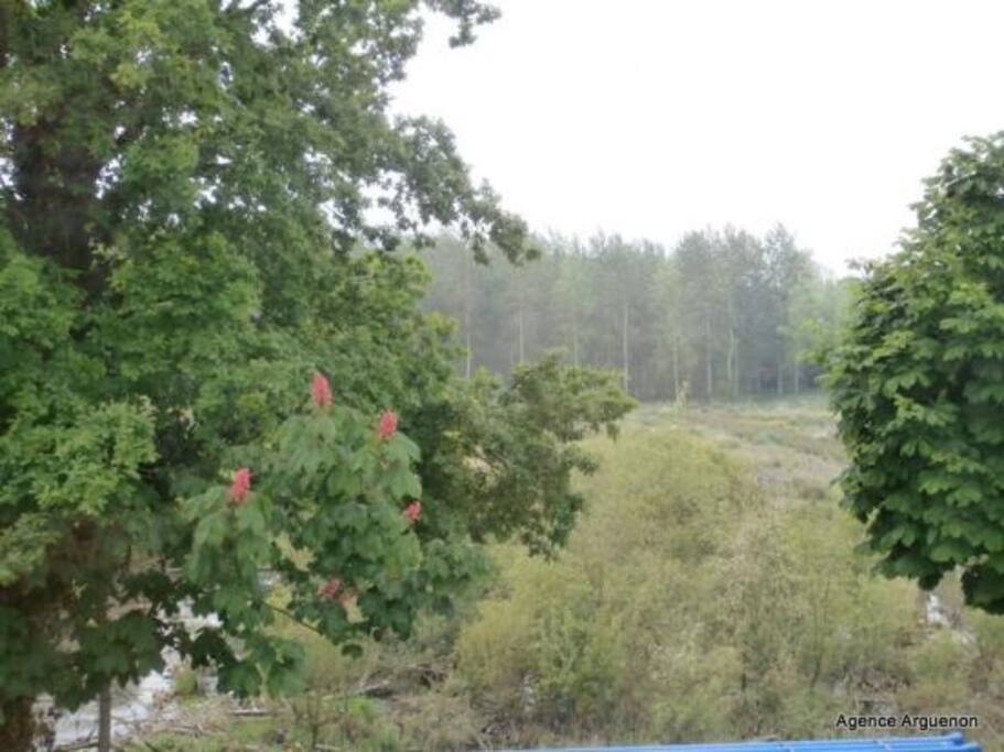 View opposite house