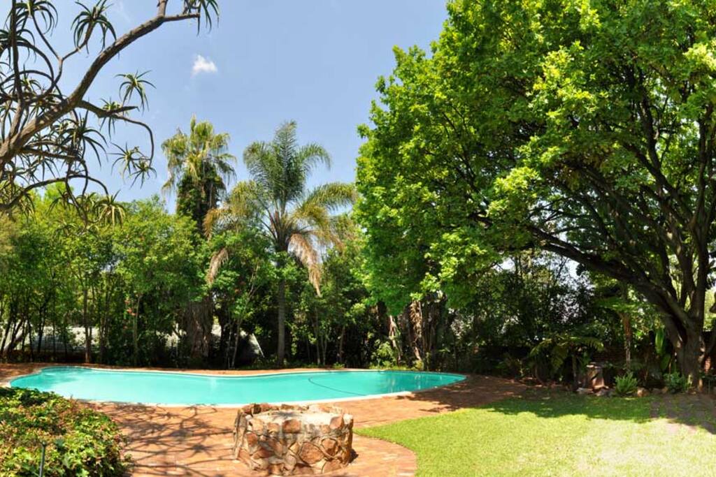 In warmer seasons Kia Ora offers you a sparkling pool to cool of and relax in