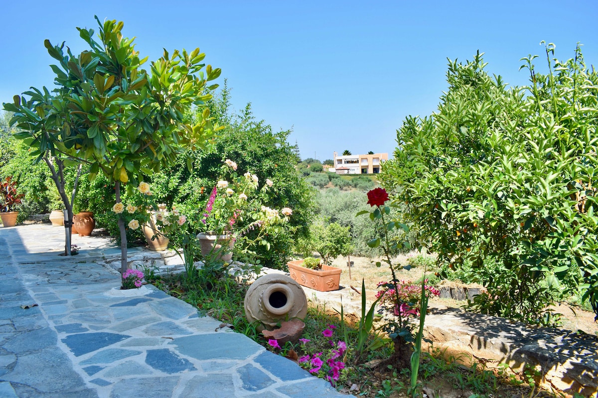 A stone pathway is lined with vibrant flowers and lush greenery, leading through a garden filled with various plants. Visible terracotta pots contain blooming flowers, while fruit trees add to the natural beauty of the outdoor space in a serene environment.