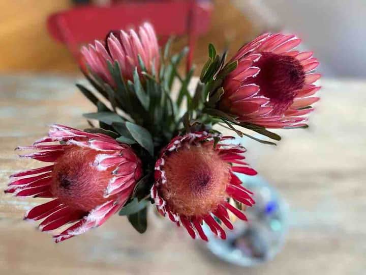 Berrima Holiday Rentals & Homes New South Wales, Australia Airbnb