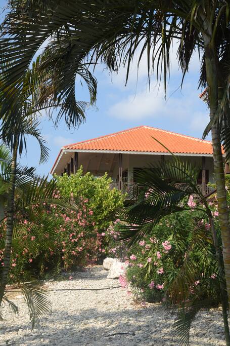 Villa Troupial - Large wrap around deck with vaulted ceilings and fans