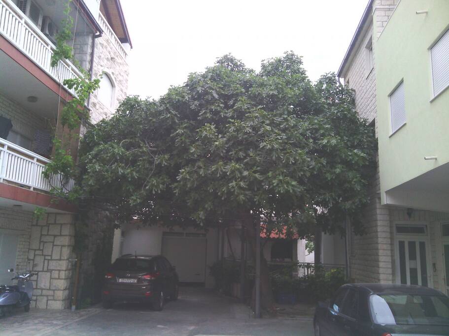 courtyard