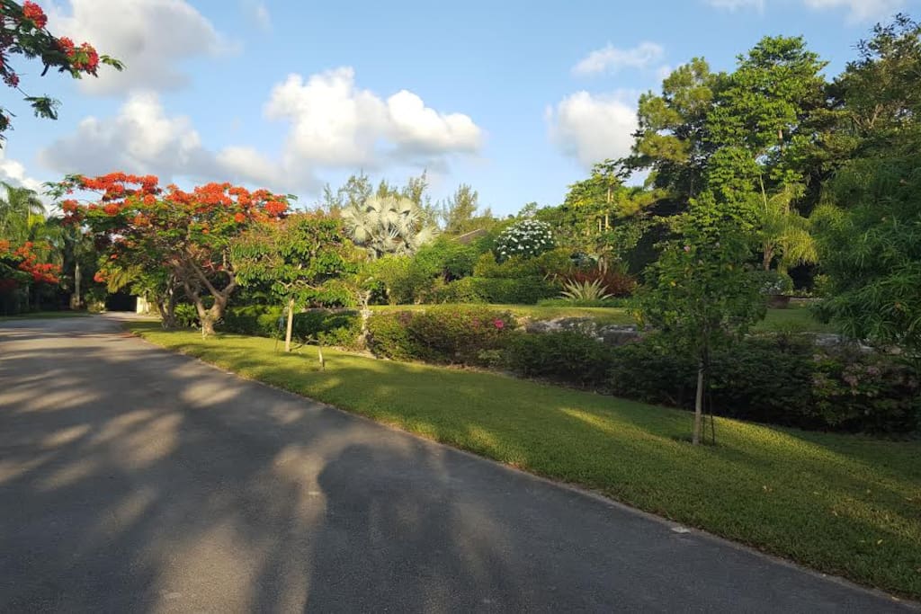 Tropical Gardens surround your secret villa