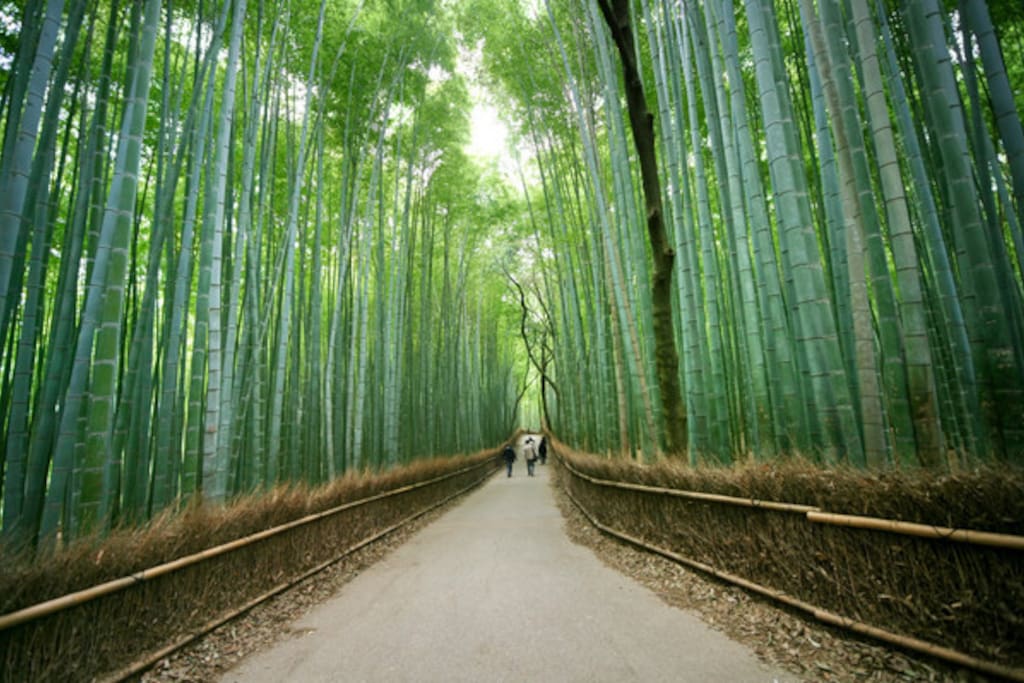 5 mins by train to Arashiyama bamboo forest