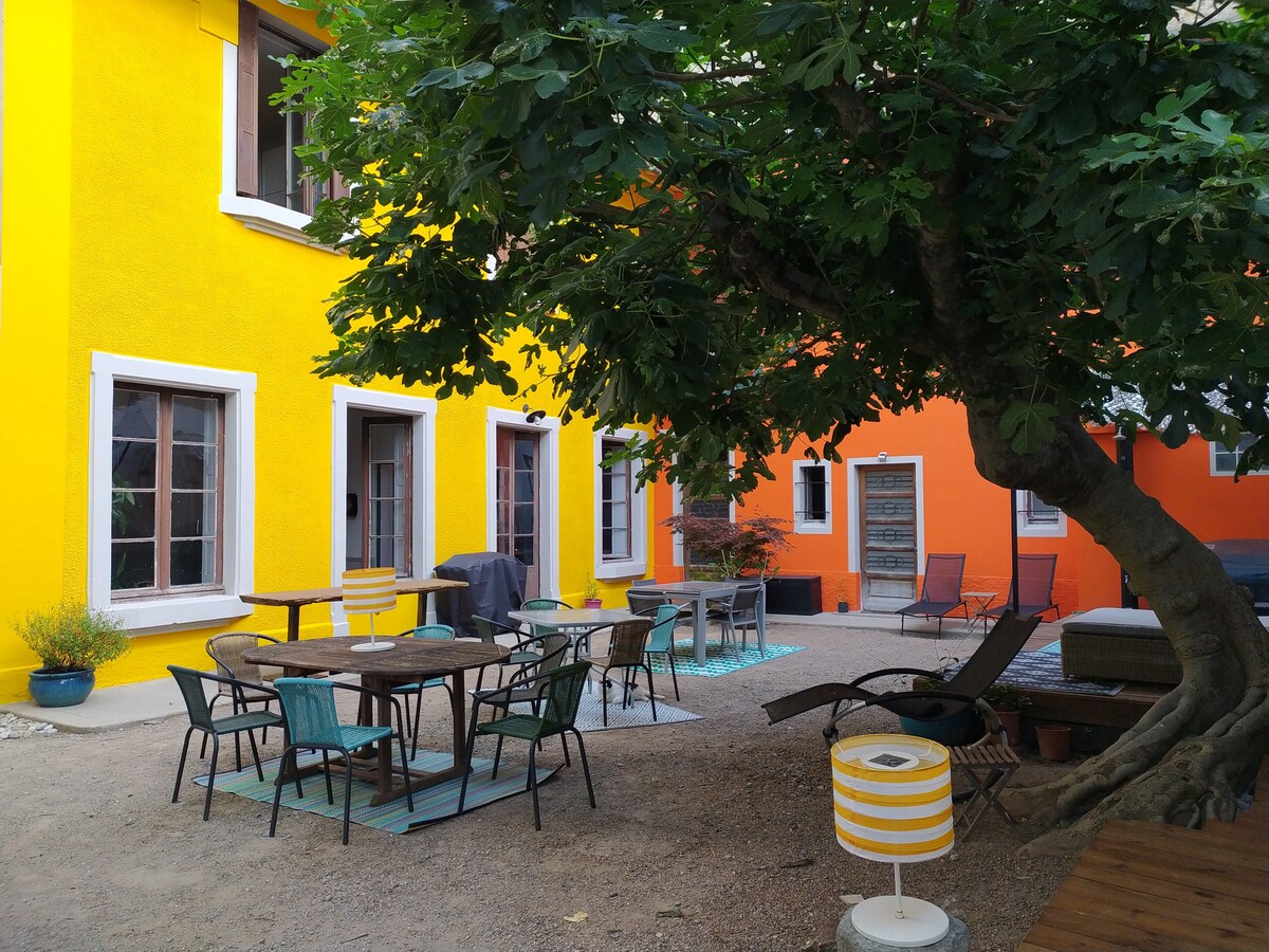 An inviting courtyard is surrounded by vibrant yellow and orange walls. Multiple seating arrangements, including tables and chairs, are situated under a large fig tree. Sun loungers and a decorative lamp enhance the outdoor space, creating an area for relaxation and socializing.