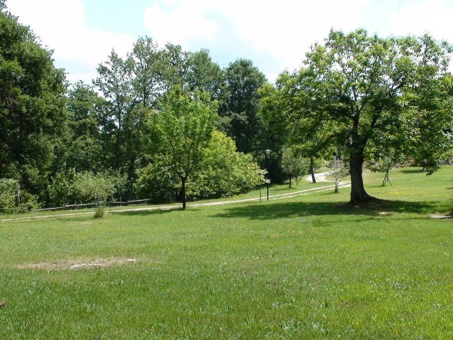Il parco