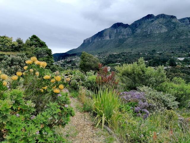 Stunning Seymour Sanctuary gallery image 3