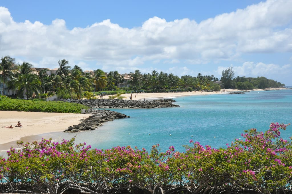 Stunning Gardens and grounds with unforgettable ocean views