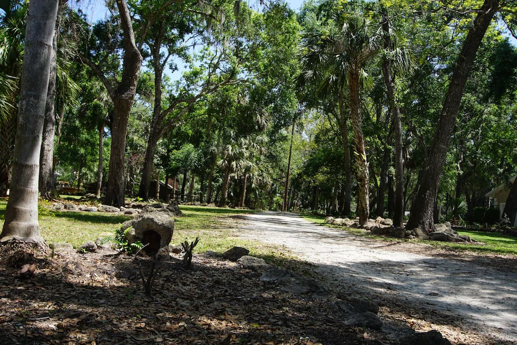 Driveway onto property.