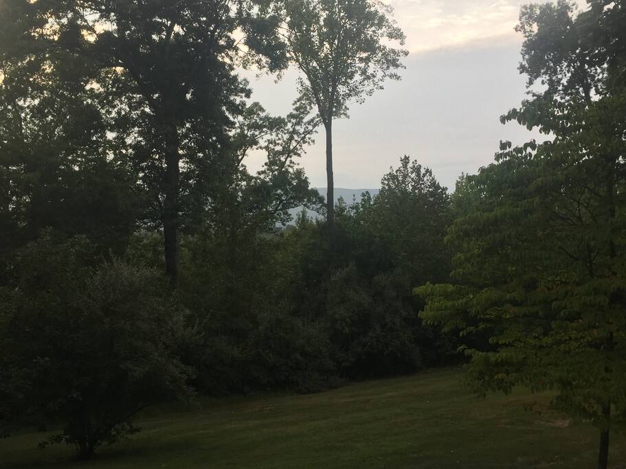 Blue Ridge Mountains peeking through the trees