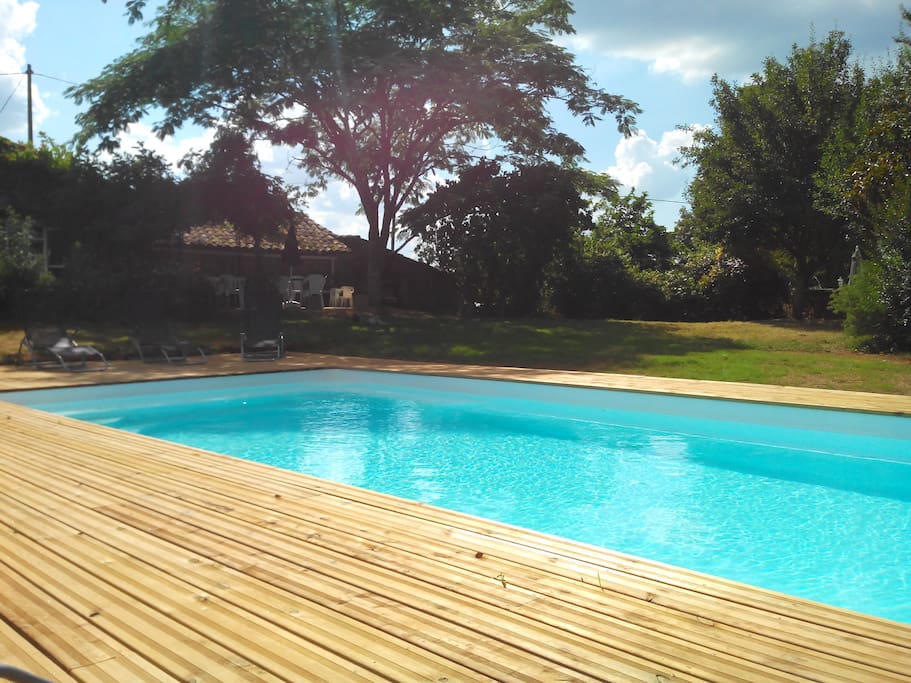 Piscine + jardin