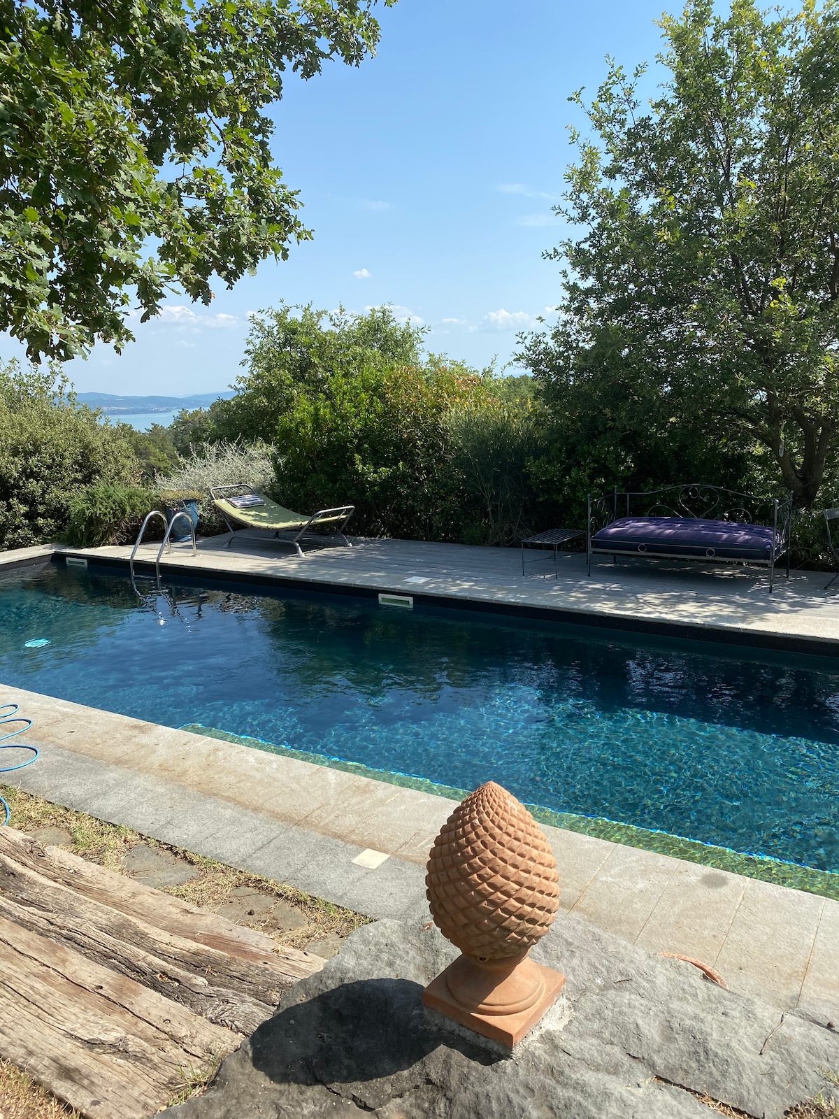 A secluded outdoor swimming pool is surrounded by lush greenery and trees. A sunbathing area includes comfortable loungers placed nearby. An ornamental feature resembling a pine cone rests on the edge of the pool deck, offering a natural aesthetic to the tranquil setting.