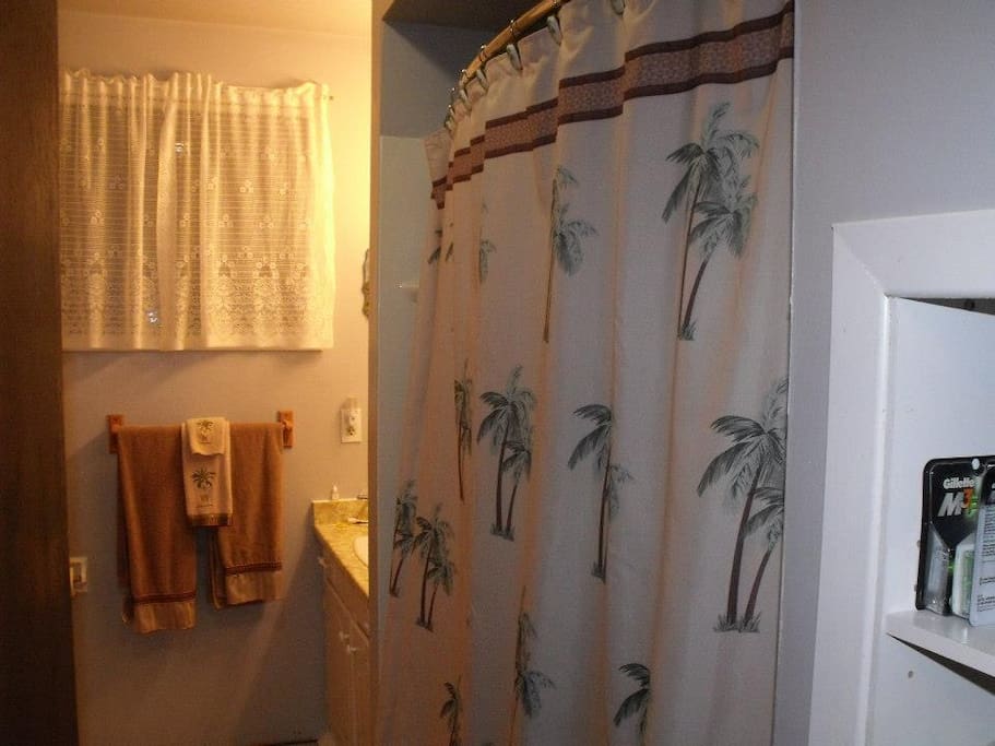Upstairs bath and shower