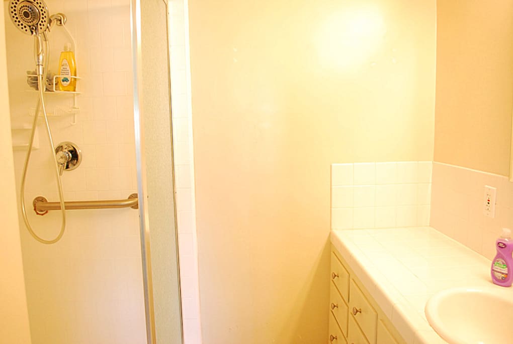Bathroom in Master Bedroom
