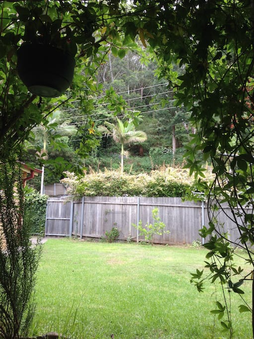 Garden backs up against the escarpment