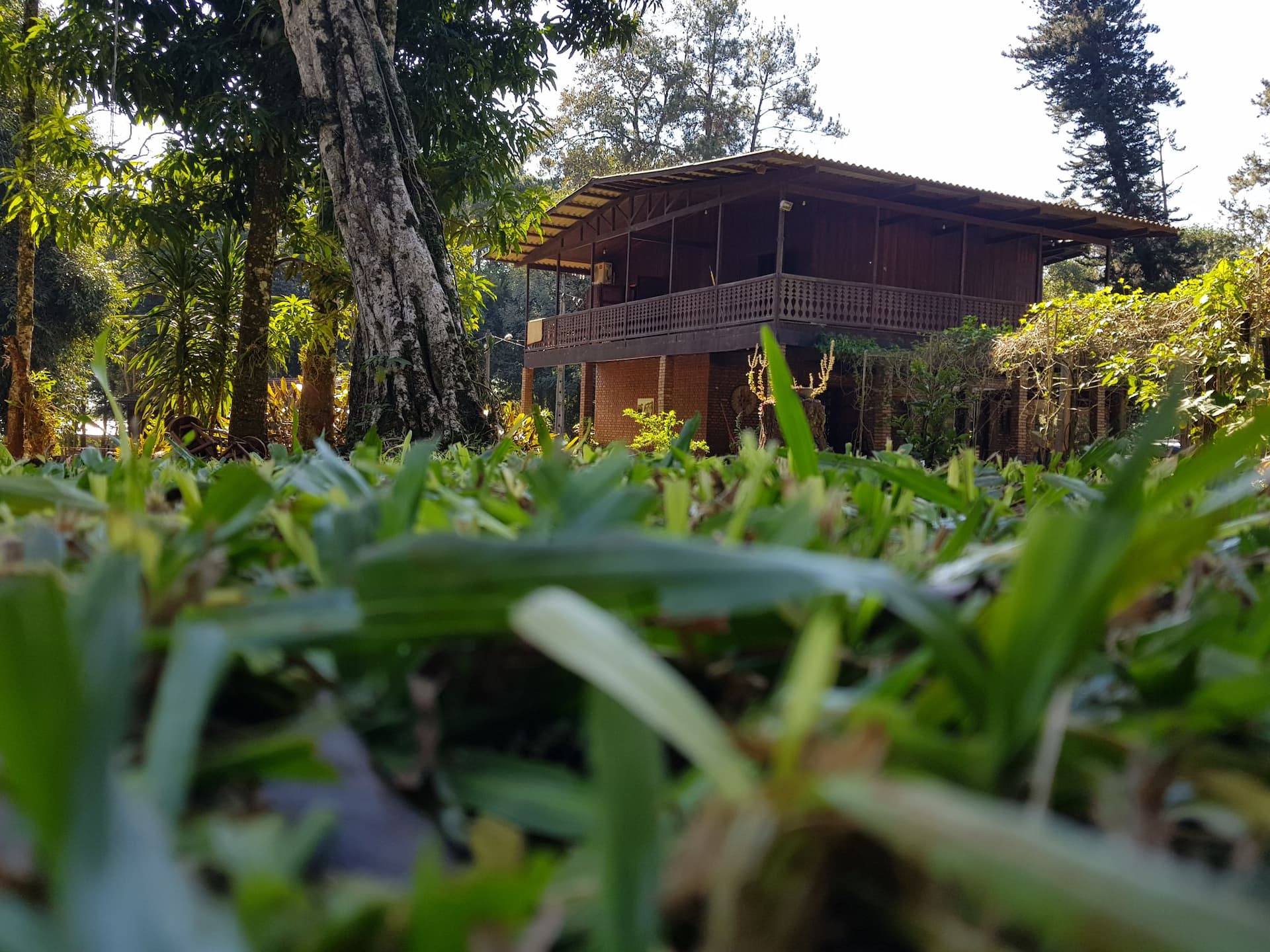 Morada dos Ipês - annex to the Iguaçu National Park