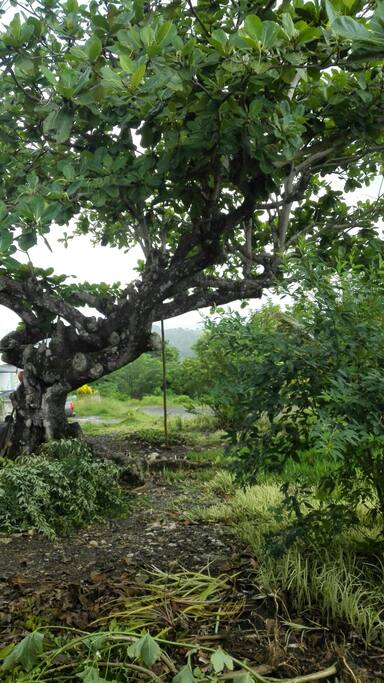 Nature at it's best