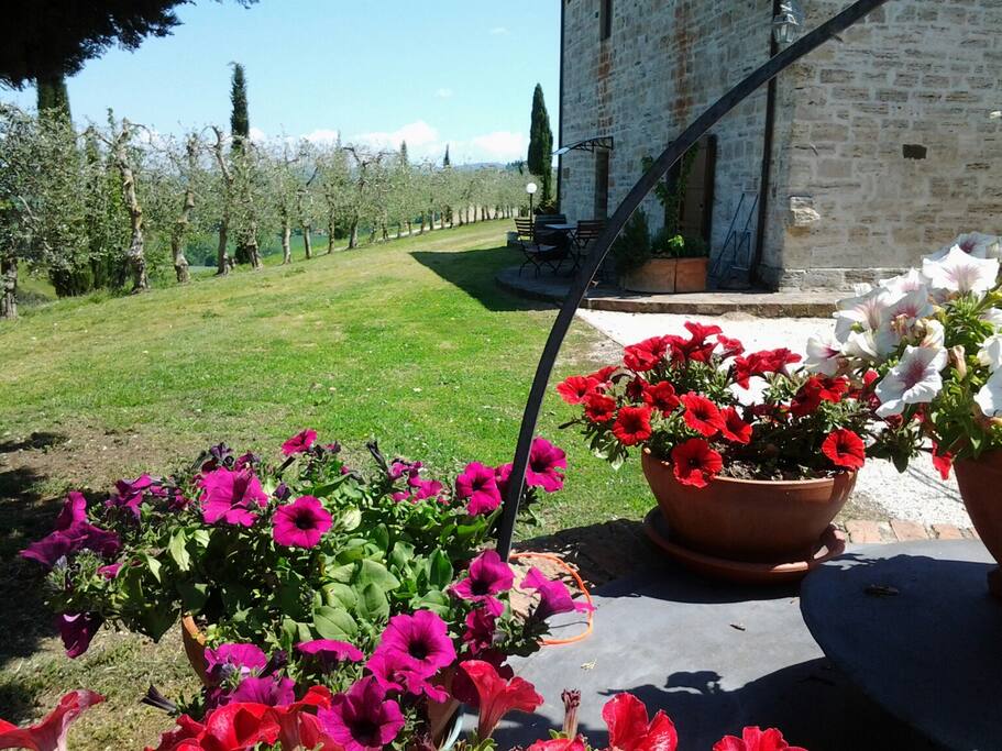 davanti appartamento