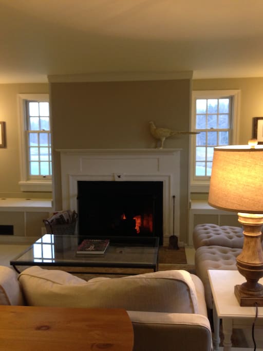 Living Room with Fireplace