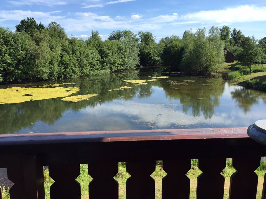 Balcony view.