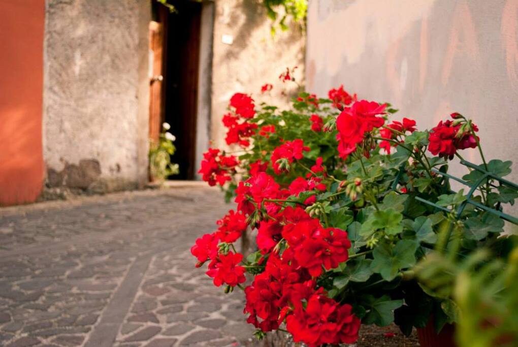 Il nostro tocco di colore!