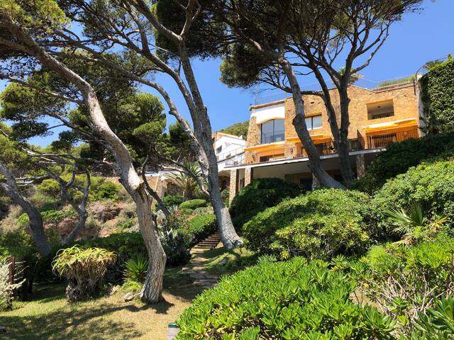 Seafront Direct and Private Access Costa Brava Gem gallery image 5