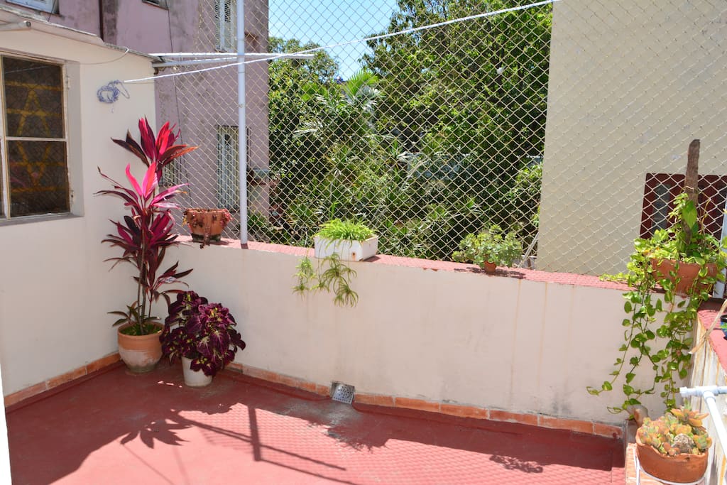 Nice sunny terrace