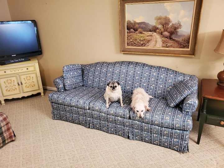 10 Best Airbnbs With Pool In Hot Springs, Arkansas Updated 2024 Trip101