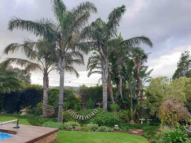 Sunny Open living family home in the Winelands gallery image 3