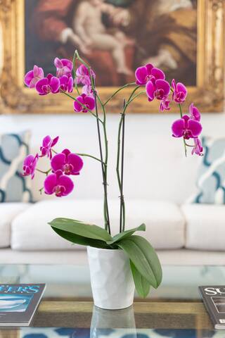 Pacific Heights Victorian gallery image 3