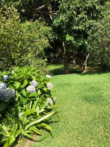 A welcoming family home, short stroll beaches gallery image 5