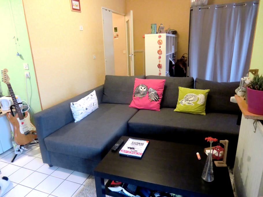 Salon avec canapé convertible (très confortable)