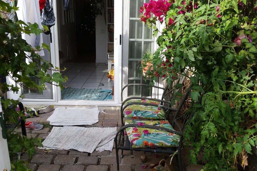 Back garden patio