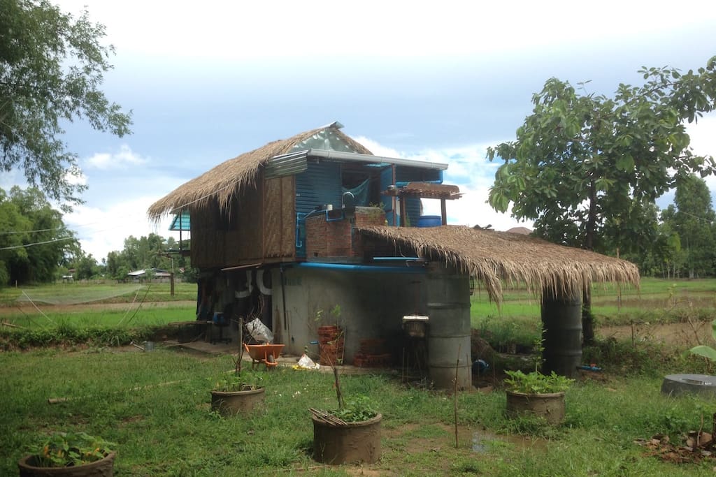 Life in the Rice Field, down by the river.