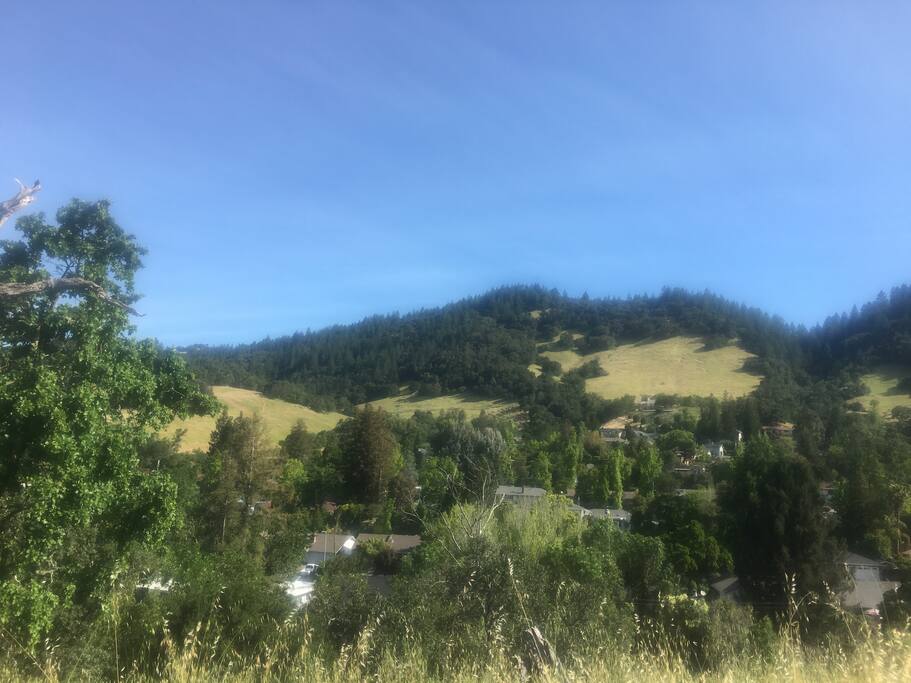 Surrounding Area