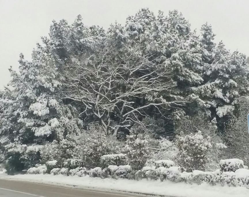 Un día mágico de invierno mágico