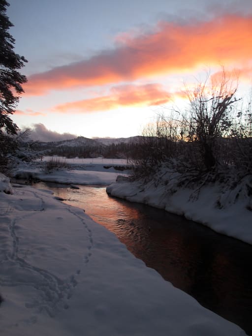 Trout and Truckee River within walking distance