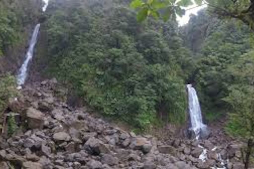 Hike to the falls (15min)