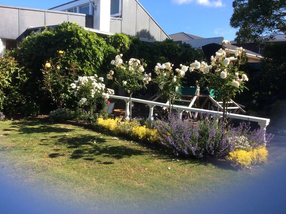 back garden