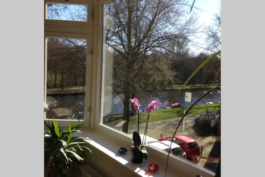 Canal view