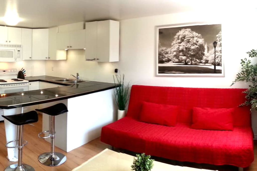 Open concept living room/kitchen. Granite countertops in kitchen.